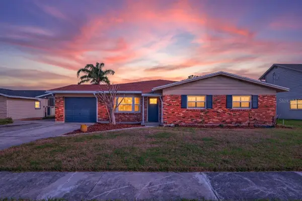 8711 Bay Crest Lane, TAMPA, FL 33615