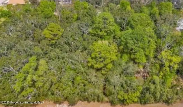 3366 N Annapolis Avenue, HERNANDO, FL 34442