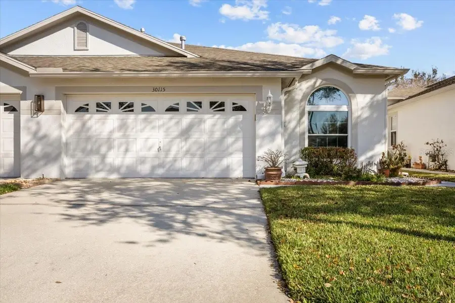 30115 Emmetts Court, Wesley Chapel, FL 33543 - #2