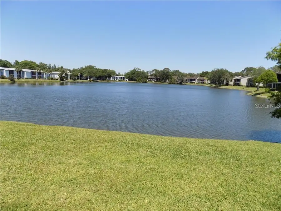 303 Woodlake Wynde, Oldsmar, FL 34677 - #2