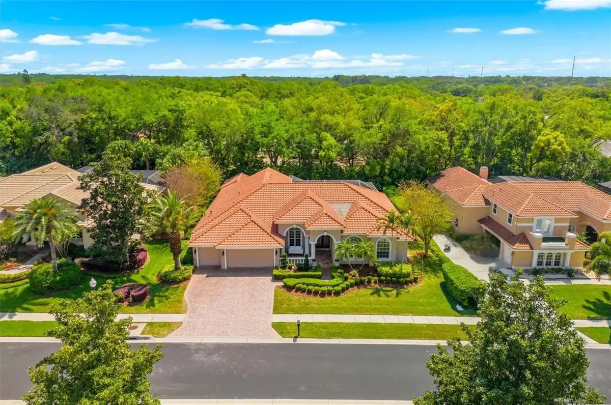 1560 Canopy Oaks Boulevard, Palm Harbor, FL 34683 - #1