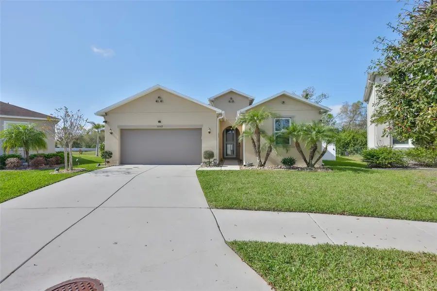 10567 Laguna Plains Drive, Riverview, FL 33578 - #3