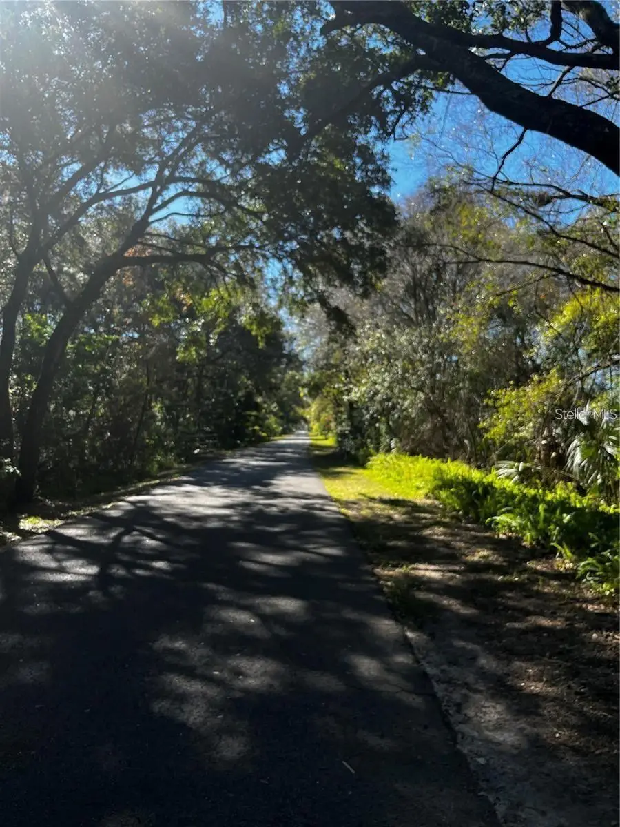 310 Skytrail, Tampa, FL 33625 - #3