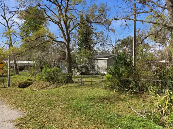 12302 Pittsfield Avenue, TAMPA, FL 33624