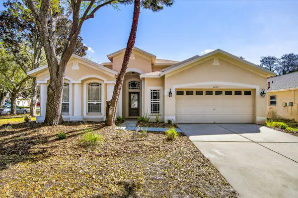 6002 Martinglade Place, LITHIA, FL 33547