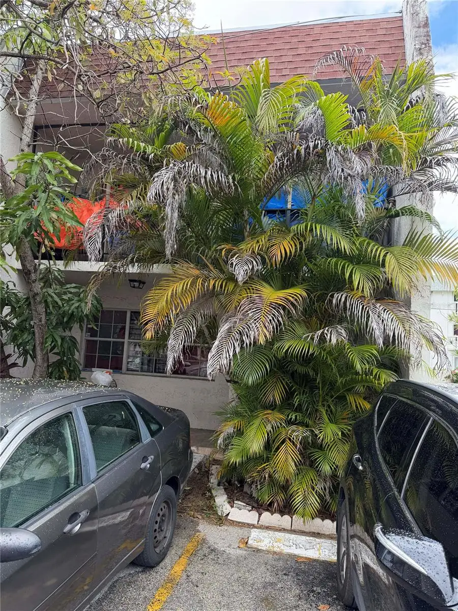 15165 NE 6th Avenue, Miami, FL 33162 - #1