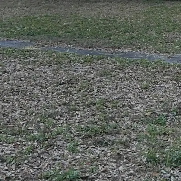 Gadsen Road, WINTER HAVEN, FL 33884