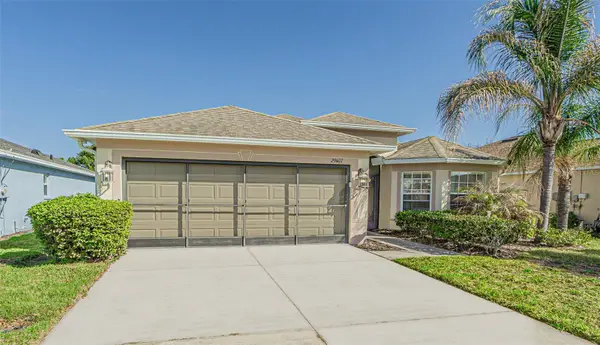 29407 Snap Hook Drive, SAN ANTONIO, FL 33576