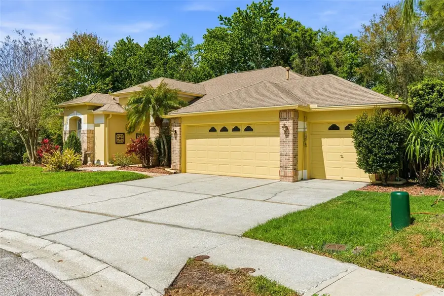 8817 Wavyedge Court, Trinity, FL 34655 - #3
