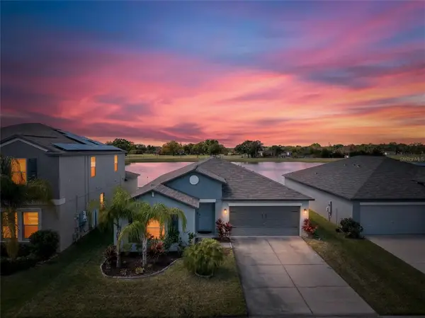 3713 Romano Busciglio Street, TAMPA, FL 33619