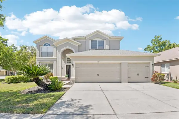 4021 Fishermans Cove Court, LUTZ, FL 33558