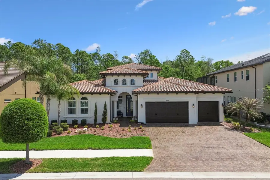 29190 Picana Lane, Wesley Chapel, FL 33543 - #2