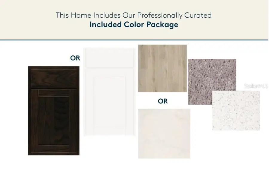 9931 Trellis Vine Way, Parrish, FL 34219 - #2