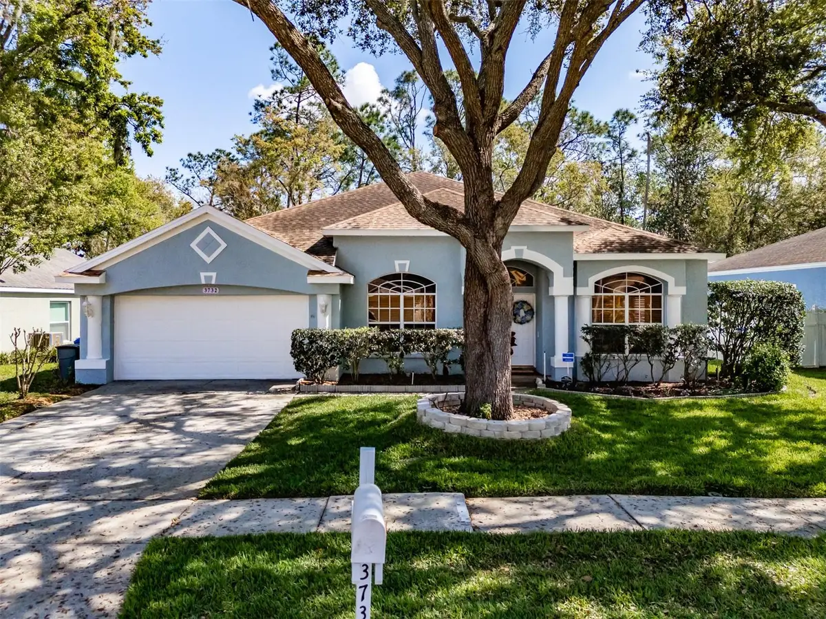 3732 Hollow Wood Drive, Valrico, FL 33596 - #1