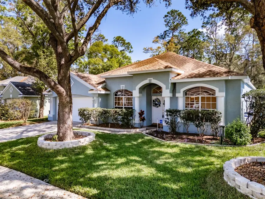 3732 Hollow Wood Drive, Valrico, FL 33596 - #3