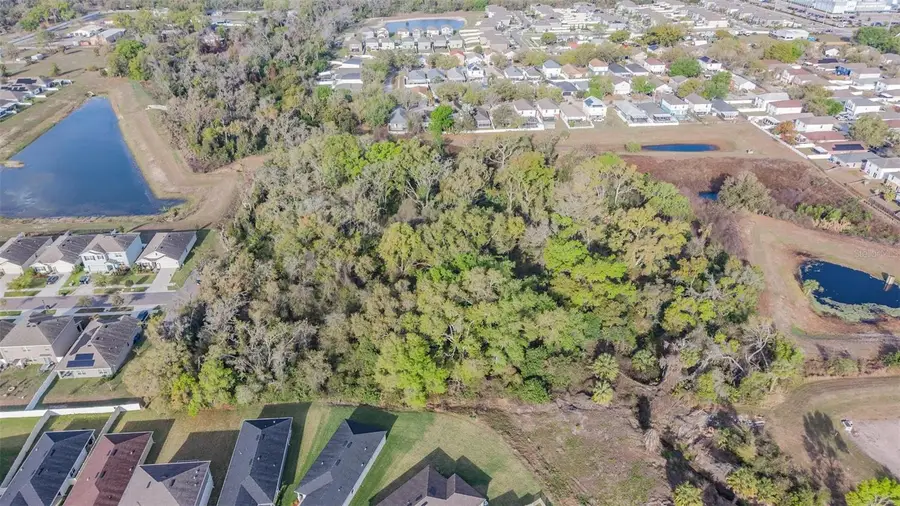 Miracle Mile, Riverview, FL 33578 - #2