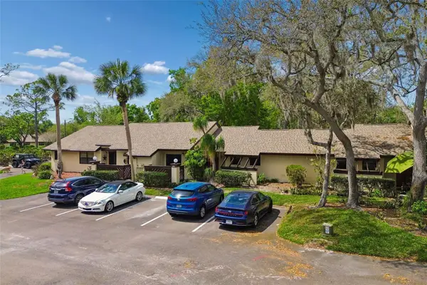 2993 Elder Court, PALM HARBOR, FL 34684