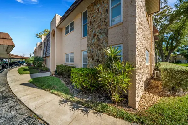 203 Aspen Circle #203, SEMINOLE, FL 33777