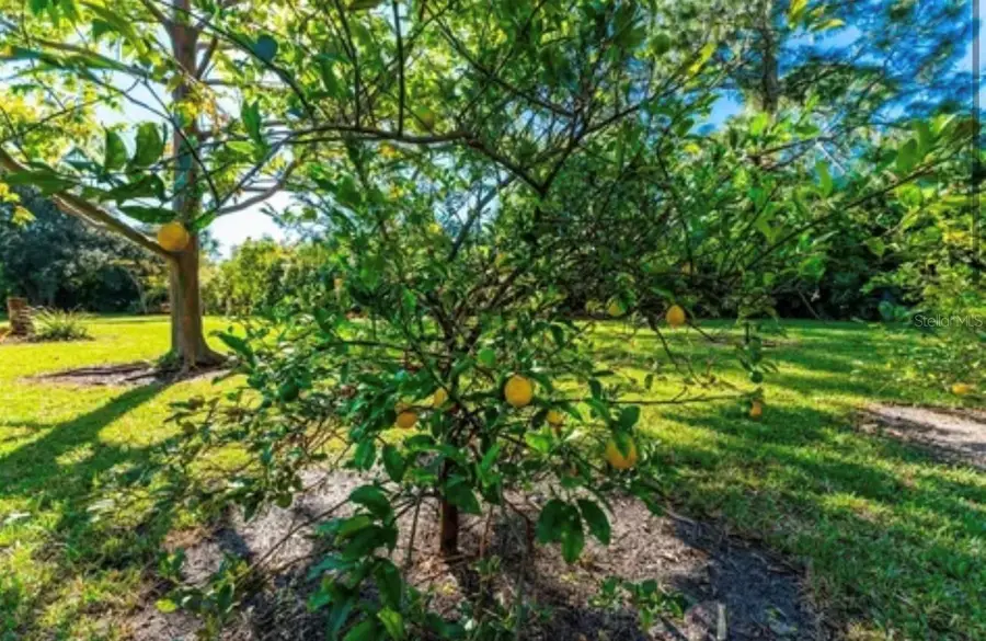 25271 Roland Lane, Punta Gorda, FL 33955 - #2