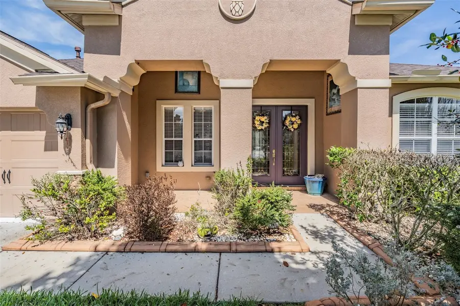 19101 Lone Creek Court, Land O Lakes, FL 34638 - #2