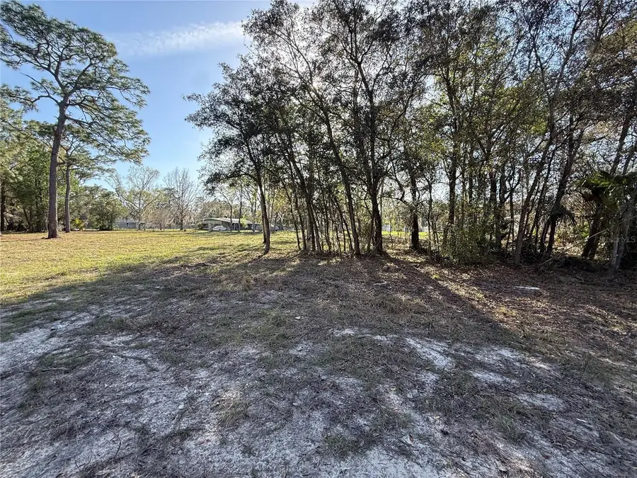 6479 W Holiday Street, Homosassa, FL 34446 - #3