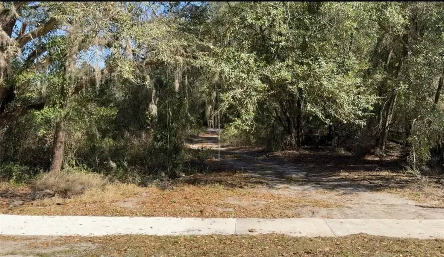 County Road 213, Wildwood, FL 34785 - #3