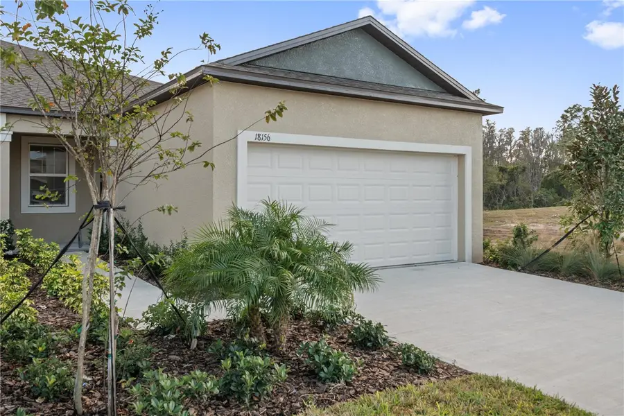 18156 Pleasantview Boulevard, Land O Lakes, FL 34638 - #2