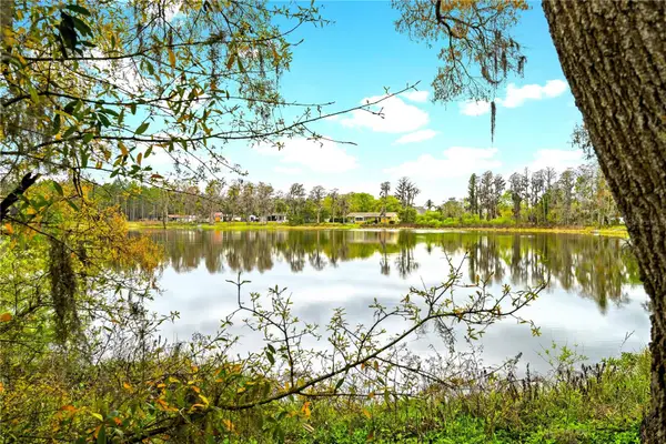 18150 Burrell Road, ODESSA, FL 33556