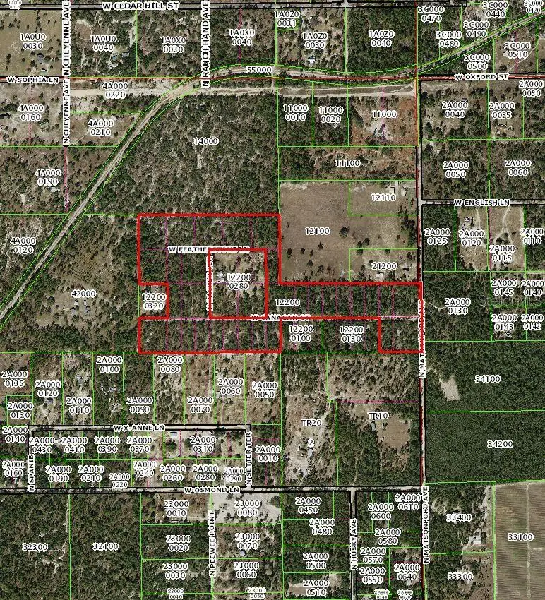 000 N Matsonford Avenue, Dunnellon, FL 34433 - #2