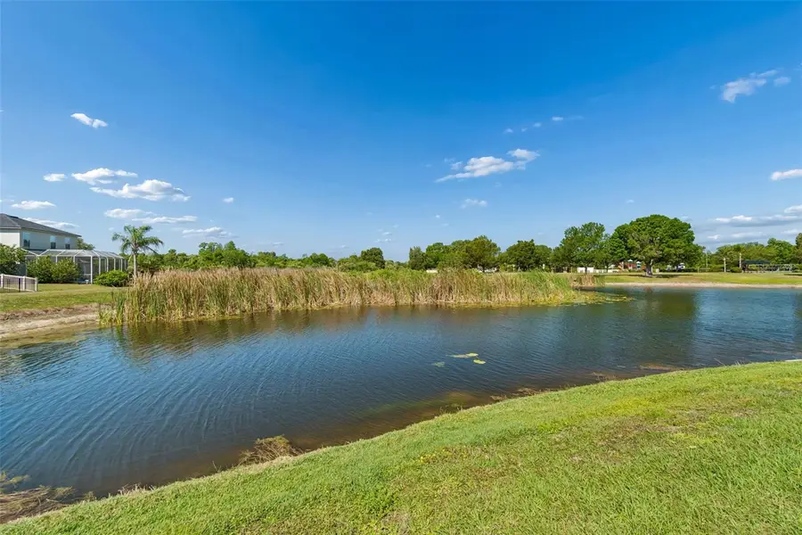 9515 Simeon Drive, Land O Lakes, FL 34638 - #2
