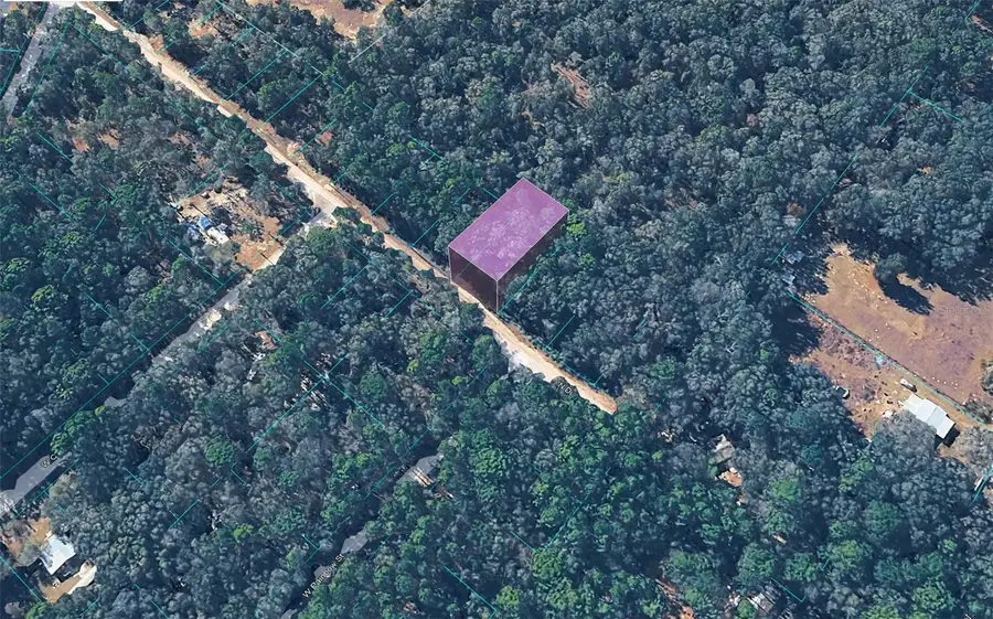 10452 N Dunedin Road, Dunnellon, FL 34433 - #2