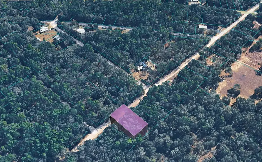 10452 N Dunedin Road, Dunnellon, FL 34433 - #3