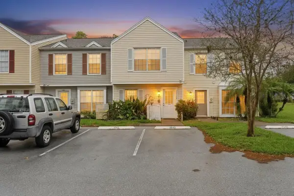 16143 Rambling Vine Drive E, TAMPA, FL 33624