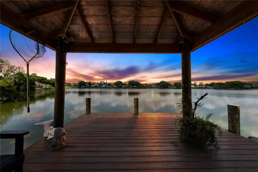 3921 Roswell Place, Land O Lakes, FL 34639 - #2