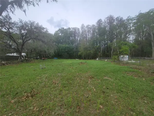 11641 Bruin Drive, NEW PORT RICHEY, FL 34654