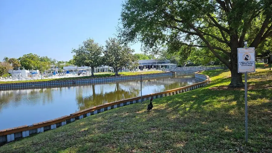 11225 82nd Avenue N #309, Seminole, FL 33772 - #2