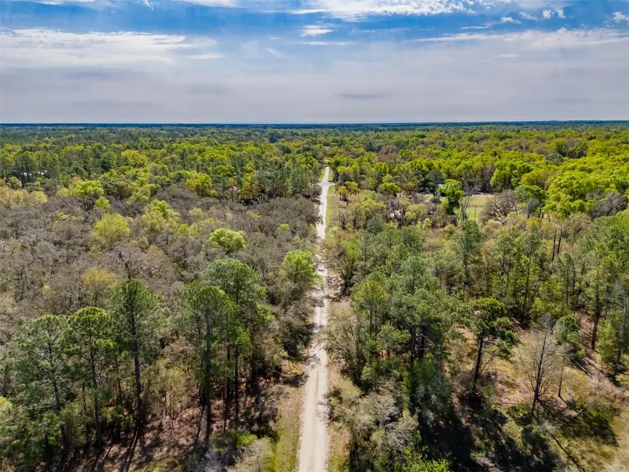 7252 Sonia Avenue, Webster, FL 33597 - #3