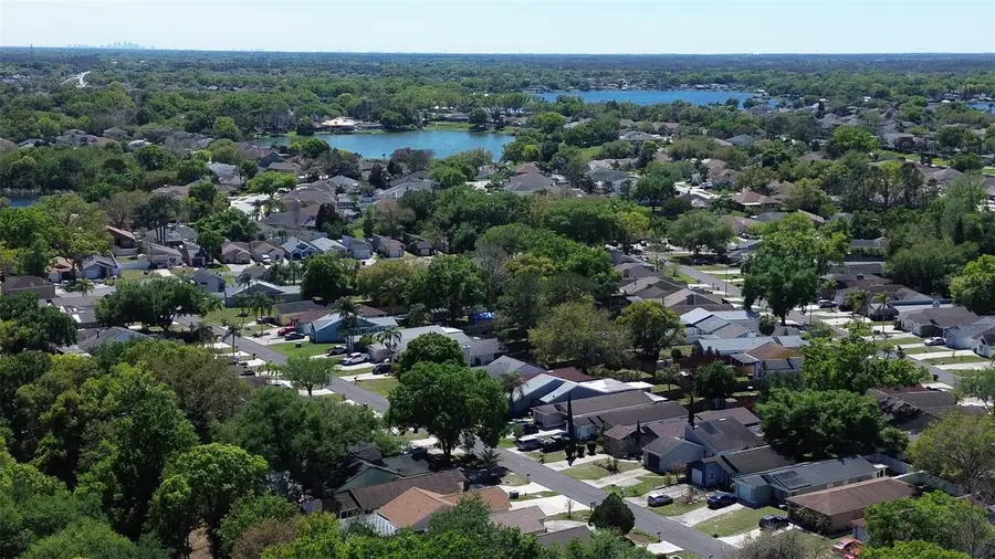 4414 Venice Drive, Land O Lakes, FL 34639 - #3