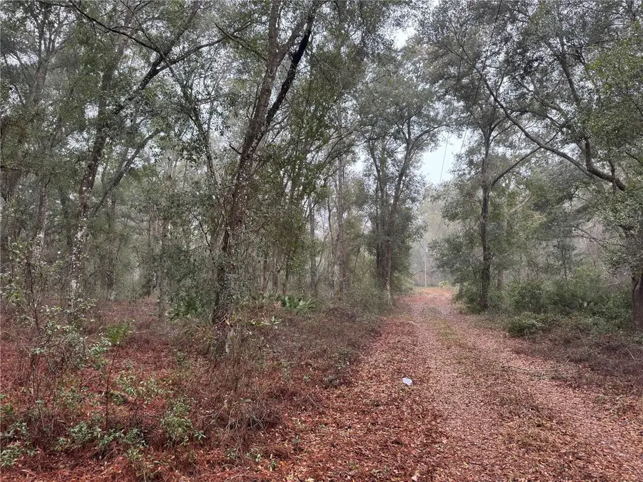 2795 SE 21st Avenue, Sumterville, FL 33585 - #2