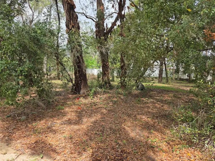 Kelly Lynn Court, Zephyrhills, FL 33541 - #2