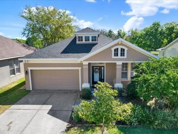 13305 Tiger Lilly Lane, TAMPA, FL 33625