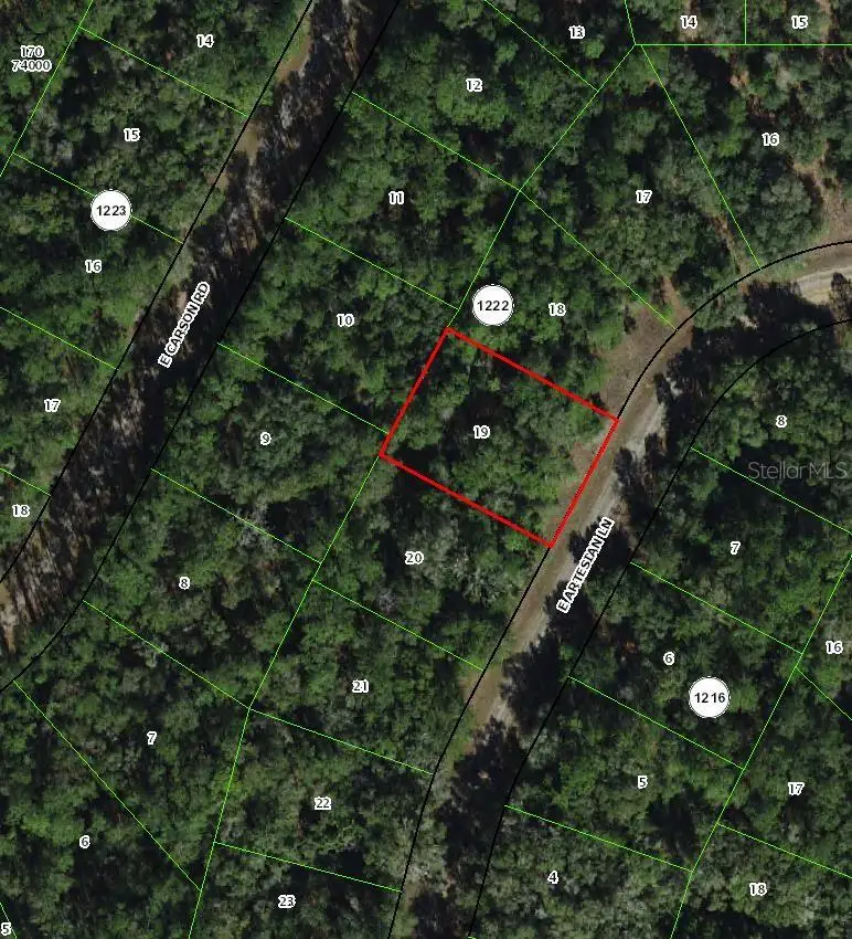 8516 N Escobar Road, Dunnellon, FL 34434 - #2