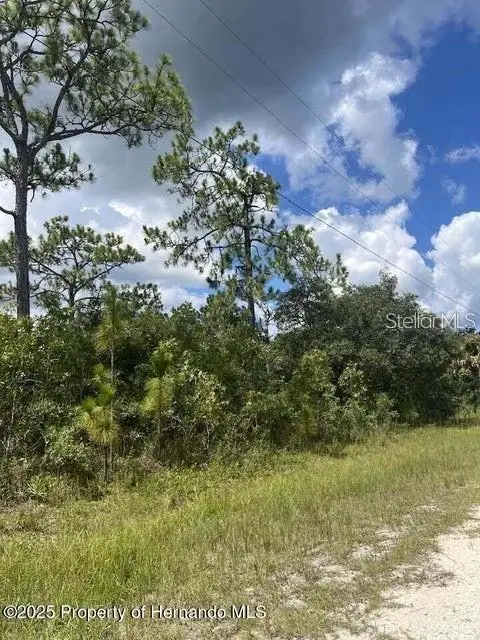 10194 Yellow Frog Avenue, Weeki Wachee, FL 34614 - #2