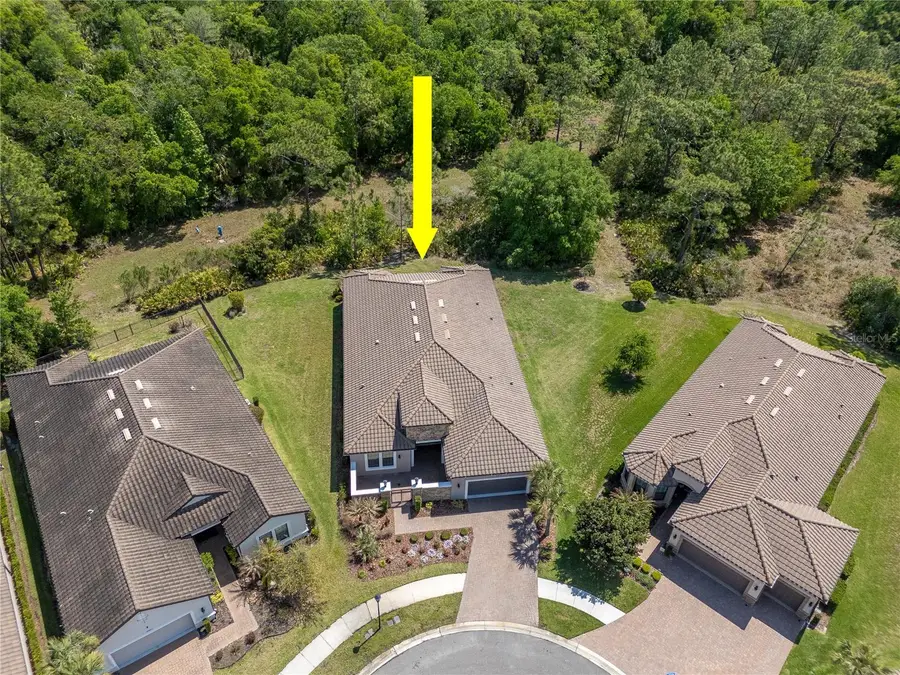 20003 Umbria Hill Drive, Tampa, FL 33647 - #2