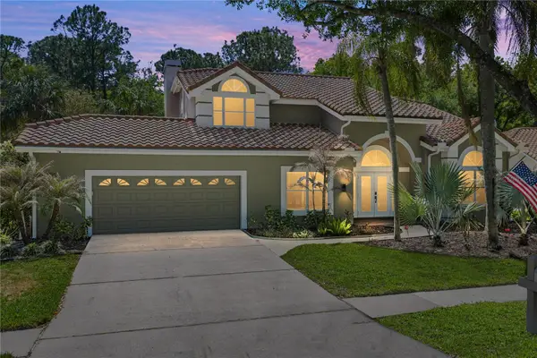 17820 Grey Brooke Drive, TAMPA, FL 33647