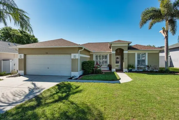 720 Sandy Hills Avenue, TARPON SPRINGS, FL 34689