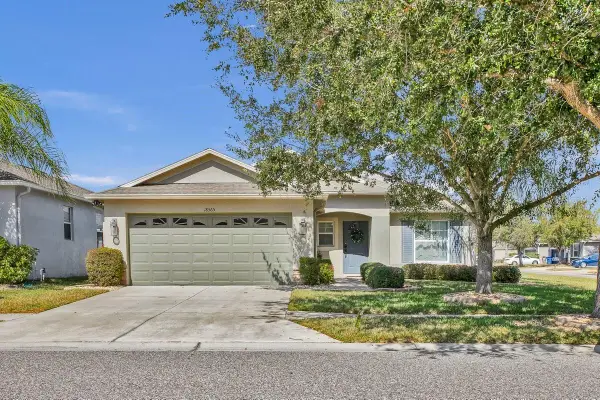 18565 Strombury Drive, LAND O LAKES, FL 34638