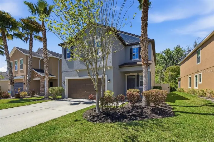 1695 Ludington Avenue, Wesley Chapel, FL 33543 - #3