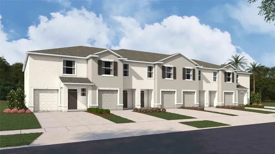 31107 Paper Birch Street, Wesley Chapel, FL 33545 - #2