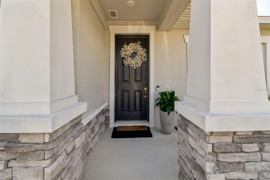 28570 Sweet Persimmon Drive, Wesley Chapel, FL 33543 - #2